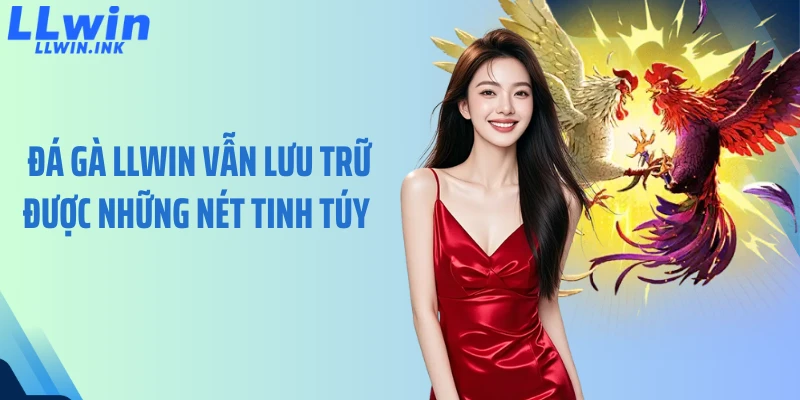 Đá gà LLWIN vẫn lưu trữ được những nét tinh túy
