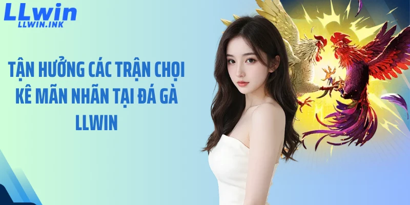 Tận hưởng các trận chọi kê mãn nhãn tại đá gà LLWIN