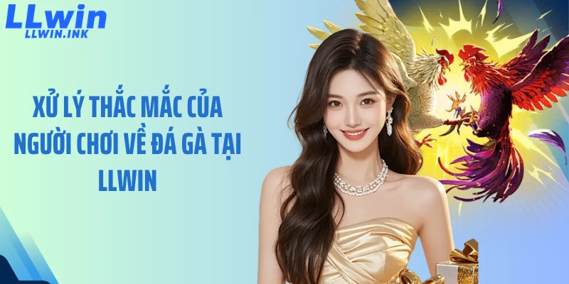 Xử lý thắc mắc của người chơi về đá gà tại LLWIN